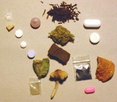 incepand din 2010 in brasov se va realiza un studiu stiintific cu privire la consumul de plante